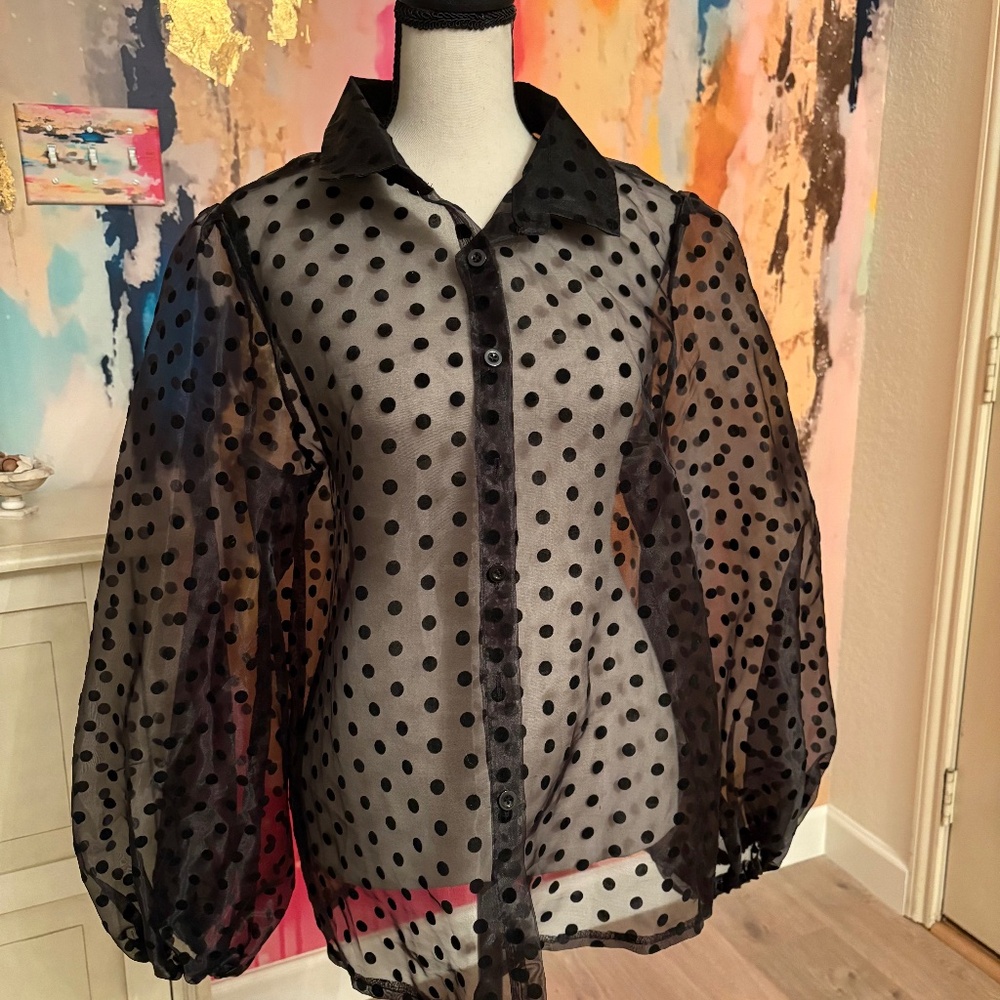 Sheer Black Polka Dot Shirt
